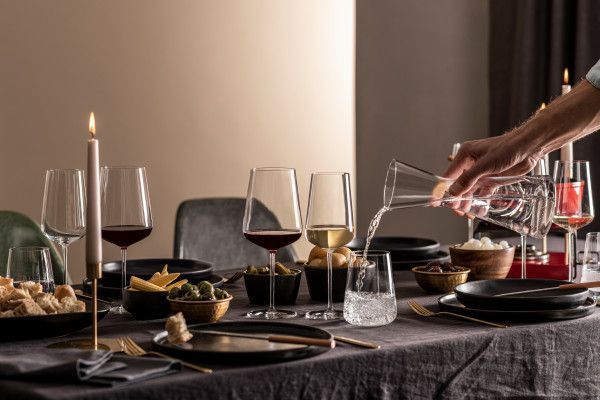 Келих для червоного вина Schott Zwiesel Vervino 742 мл (121408) 121408_поштучно фото