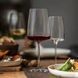 Бокал для красного вина Schott Zwiesel Sensa 660 мл (122429) 122429_поштучно фото 2