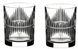 Набор стаканов для виски 2 шт Riedel Tumbler Collection 323 мл (0515/02 S5) 0515/02 S5 фото 3