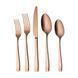 Ніж столовий Sola Durban Satin Copper 24см (12DURMK112) 03000652 фото 2