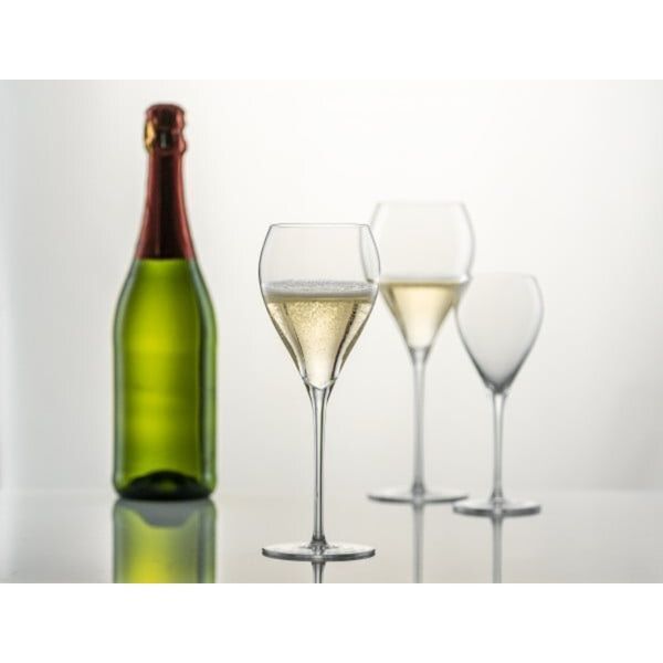 Набір келихів для шампанського Schott Zwiesel Bar Special 384 мл х 6 шт (121545) 121545 фото