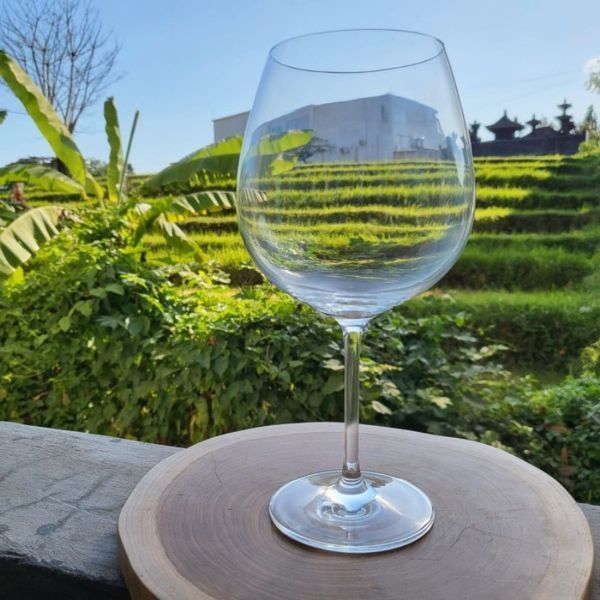 Бокал для красного вина Schott Zwiesel Ivento 783 мл (115589) 115589_поштучно фото