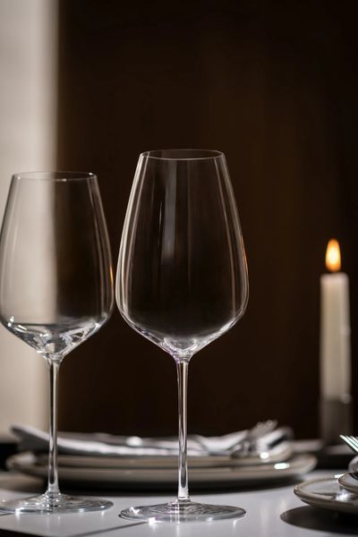 Бокал для белого/розового вина Schott Zwiesel Perfect Match 514 мл (124559) 124559_поштучно фото