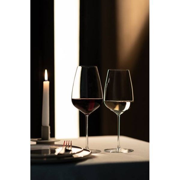 Бокал для белого/розового вина Schott Zwiesel Perfect Match 514 мл (124559) 124559_поштучно фото