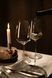 Келих для червоного/білого вина Schott Zwiesel Perfect Match 563 мл (124558) 124558_поштучно фото 4