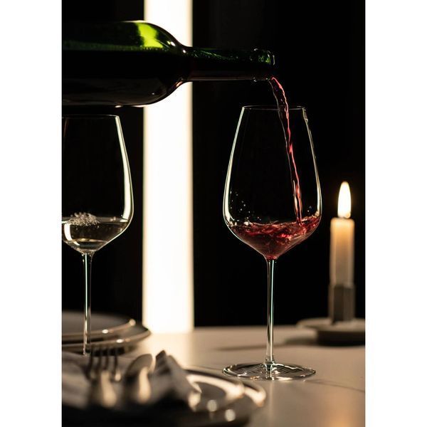 Келих для червоного/білого вина Schott Zwiesel Perfect Match 563 мл (124558) 124558_поштучно фото