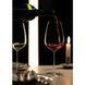Келих для червоного/білого вина Schott Zwiesel Perfect Match 563 мл (124558) 124558_поштучно фото 5
